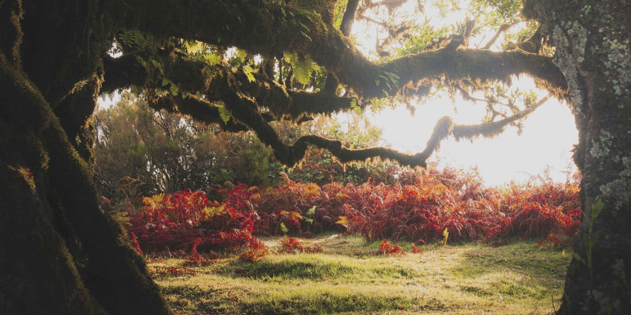 human-design-burn-out