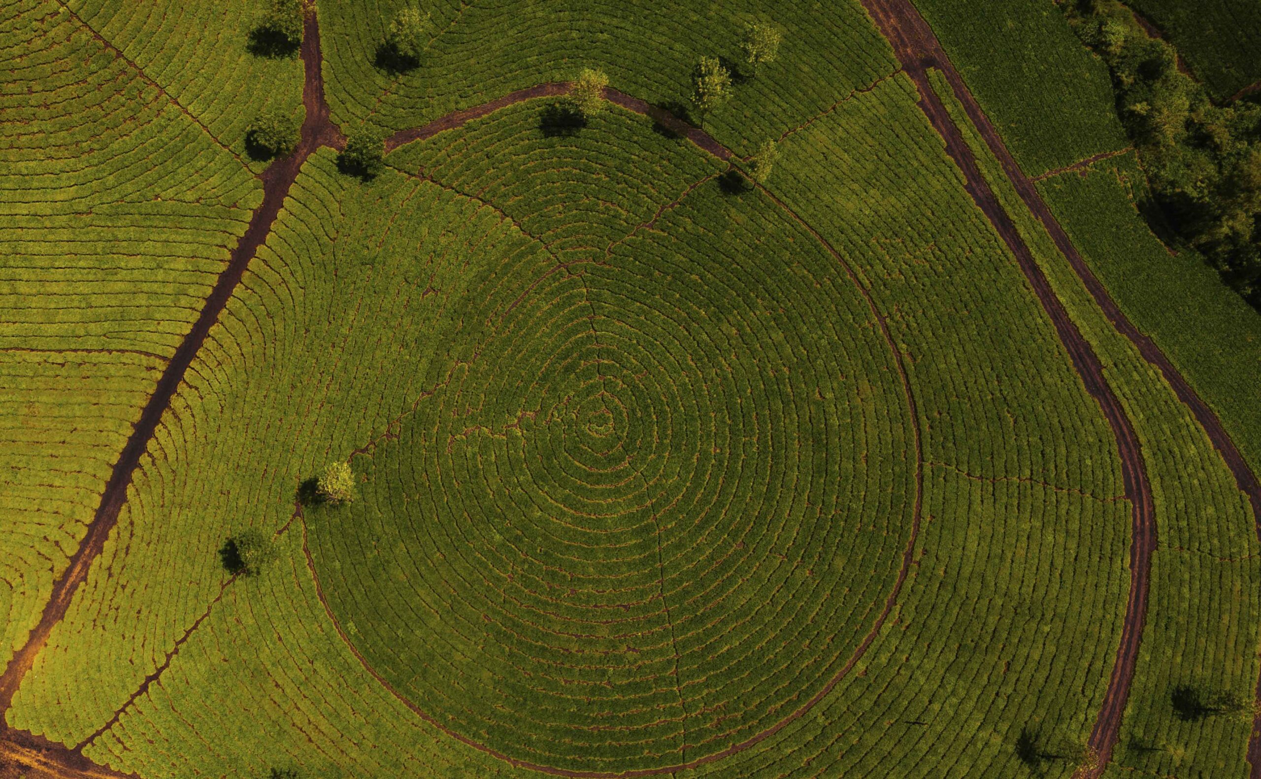 Business missie ontdekken met Human Design